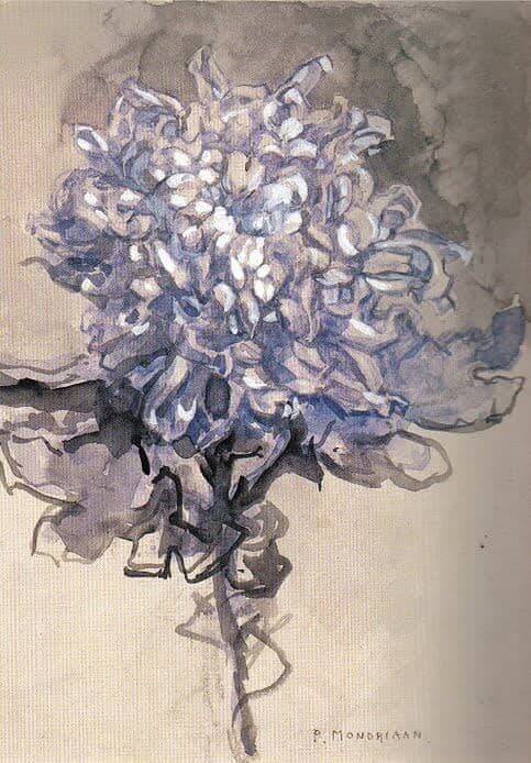 Chrysanthemum, 1909 by Piet Mondrian