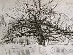Tree II by Piet Mondrian